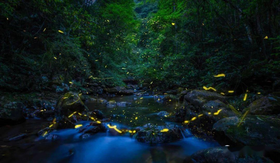逃离别墅度假村