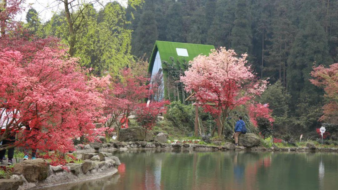 【生态立企】国家林业和草原局猫科动物研究中心科学研究基地落户穆棱林区